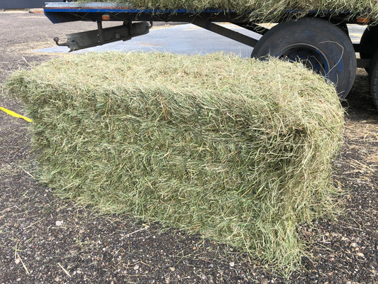 Pedersminde Wraphø LAV SUKKER