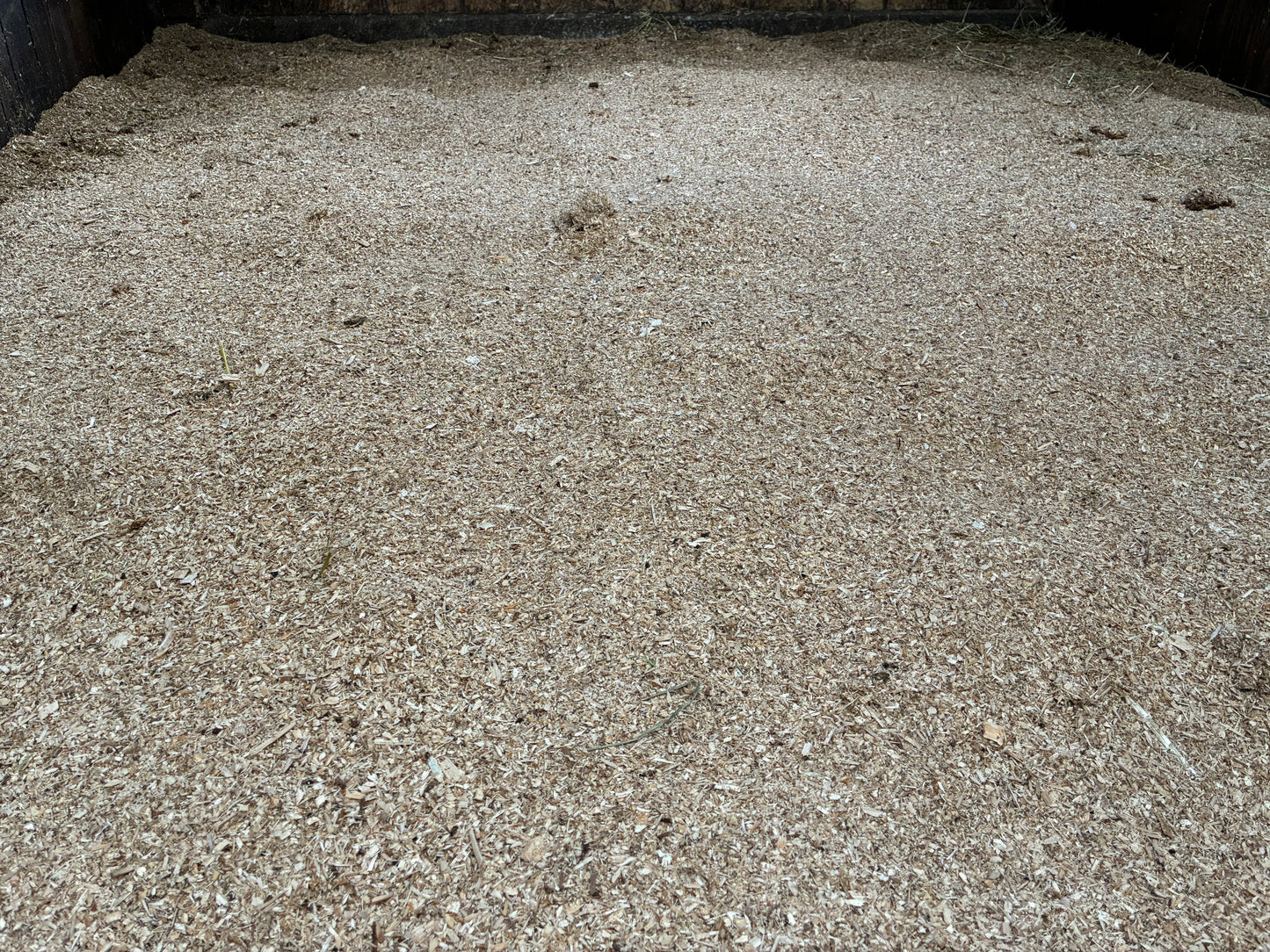 Træflis til strøelse i bokse