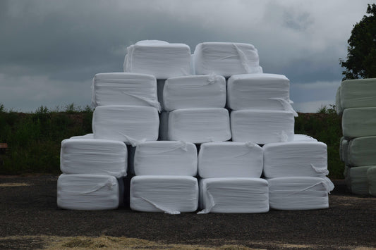 Wrappet-havre-Pedersminde-6046_dd6cdc1b-c1fc-44f5-bae4-bfc61ae8cab6 - Pedersminde