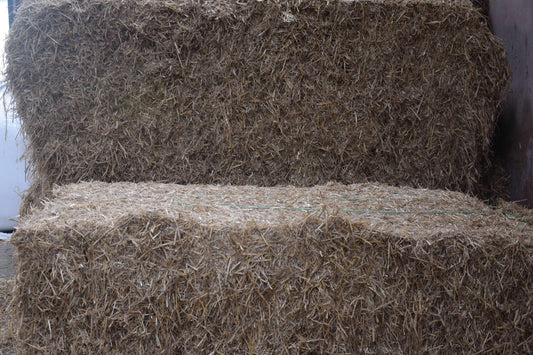 V-rbyghalm-Pedersminde-2711_24149201-0108-438a-aa1e-6c6ed3ac29b3 - Pedersminde